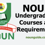 NOUN Undergraduate Courses and Requirements for All Programmes 2025